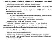 Telekomunikacijų tinklai ir paslaugos 18 puslapis