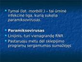 Tymų virusai 2 puslapis