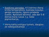 Tymų virusai 11 puslapis