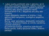 Tymų virusai 17 puslapis