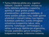Tymų virusai 4 puslapis