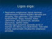 Tymų virusai 6 puslapis