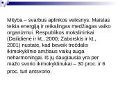 Vaikų mitybos sutrikimai 2 puslapis