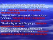 Vartotojų teisių gynimas pagal LR Konstituciją 20 puslapis