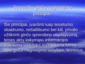 Vartotojų teisių gynimas pagal LR Konstituciją 4 puslapis