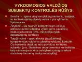 Viešojo administravimo kontrolė 15 puslapis