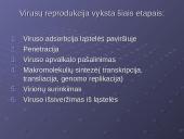 Virusų klasifikacija 12 puslapis