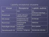 Virusų klasifikacija 14 puslapis