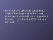 Virusų klasifikacija 17 puslapis