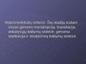 Virusų klasifikacija 18 puslapis