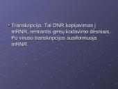 Virusų klasifikacija 19 puslapis