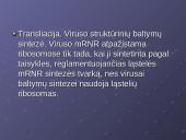 Virusų klasifikacija 20 puslapis