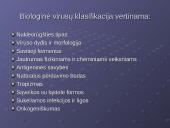 Virusų klasifikacija 7 puslapis