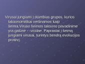 Virusų klasifikacija 8 puslapis