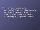 Virusų klasifikacija 9 puslapis