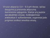 Virusų klasifikacija 10 puslapis