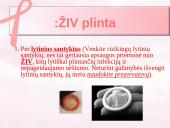 AIDS ir ŽIV 3 puslapis