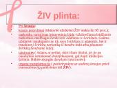 AIDS ir ŽIV 4 puslapis