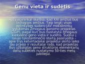 Žmogaus genomo projektas 2 puslapis