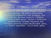 Žmogaus genomo projektas 3 puslapis