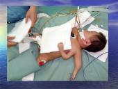 Žmogaus genomo projektas 7 puslapis