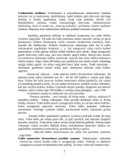Ankstyvosios jaunystės charakteristika 3 puslapis