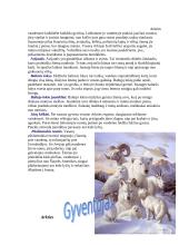 Arktis ir Antarktis - skirtumai bei panašumai 3 puslapis