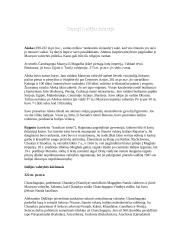 Keliavimas po Indiją 3 puslapis