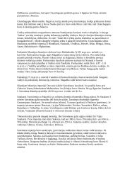 Keliavimas po Indiją 4 puslapis