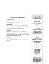 Indija bei jos religijos 3 puslapis