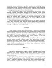 Indija bei jos religijos 5 puslapis