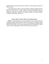 Indija bei jos religijos 7 puslapis