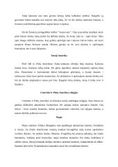 Pietų Amerika 4 puslapis