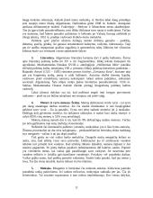 Afganistanas (Afganistano Islamo Valstybė) ir Pakistanas (Pakistano Islamo Valstybė) 9 puslapis