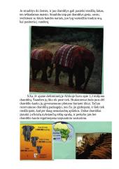 Afrikos žemyno geografija  3 puslapis