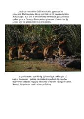 Afrikos žemyno geografija  4 puslapis