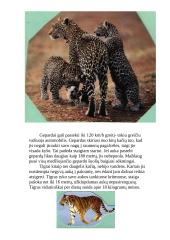 Afrikos žemyno geografija  6 puslapis