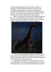 Afrikos žemyno geografija  7 puslapis