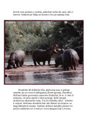 Afrikos žemyno geografija  8 puslapis