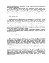 Afrika ir Afrikos charakteristika 3 puslapis