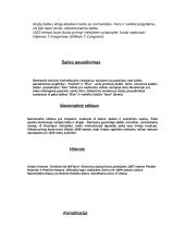 Airijos geografija 4 puslapis