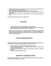 Airijos geografija 8 puslapis