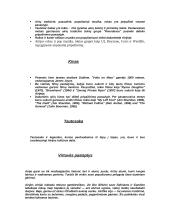 Airijos geografija 10 puslapis