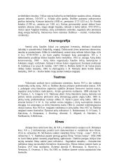 Airijos ekonomika ir geografija 9 puslapis