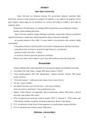 Airija - smaragdo šalis 13 puslapis