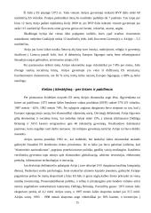 Airija - smaragdo šalis 15 puslapis