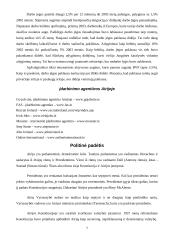 Airija - smaragdo šalis 7 puslapis