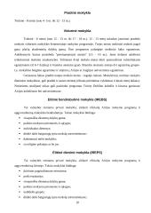 Airija - smaragdo šalis 10 puslapis