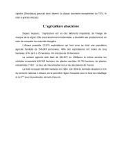 L’histoire d’Alsace 20 puslapis