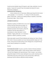 Andoros valstybė 4 puslapis